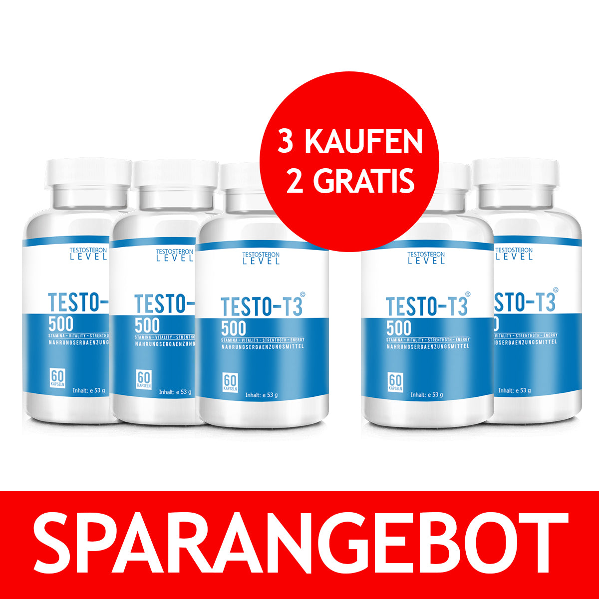 SPARANGEBOT - Testo-T3 500